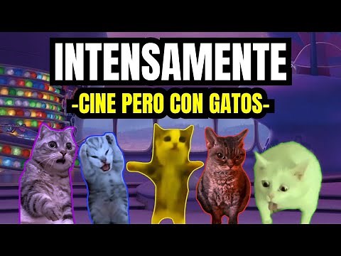 INTENSAMENTE , cine pero con gatos (meme de gatos)