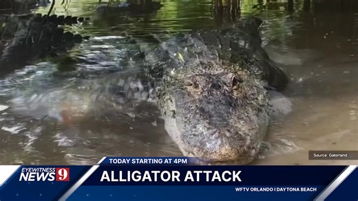 In-Depth reporting of the major local news of the day, live coverage of breaking news, and an accurate and detailed forecast for where you live from Chief Meteorologist Tom Terry! Watch Channel 9 Eyewitness News. LIVE Today at 4, 5 and 6pm | WFTV Channel 9