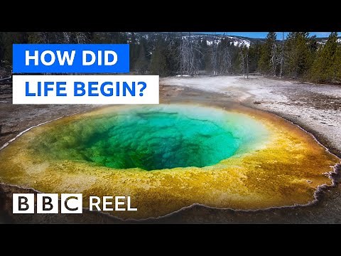 Unravelling the mystery of how life began on Earth - BBC REEL