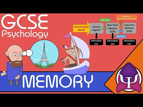 Memory: GCSE Psychology