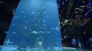 Our weekly newsletter features upcoming events, incredible attractions and great deals for Springfield and the Ozarks. #lovespringfield | I Love Springfield, MO!