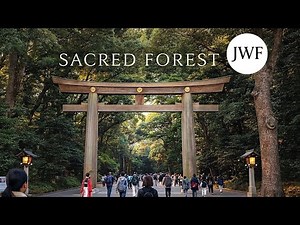 Meiji Shrine 2025｜4K HDR – Meiji Jingu Shrine, Tokyo