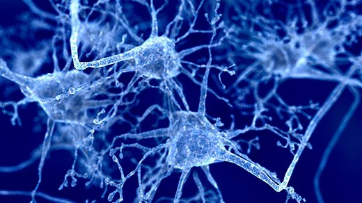 Department of Neurology | UT Southwestern Medical Center