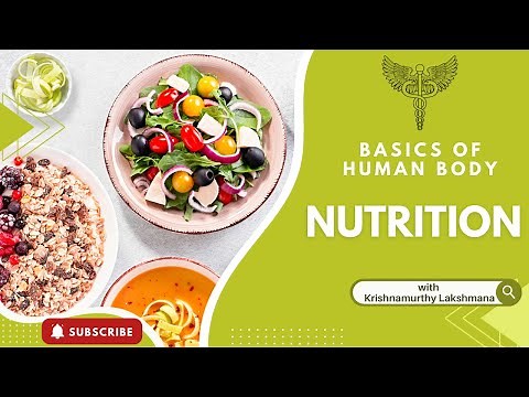Basics of Human Body - Nutrition