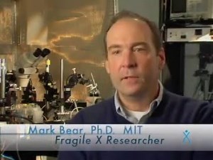 Fragile X - Hitting the Mark