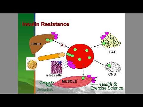 Is Exercise Really Medicine?