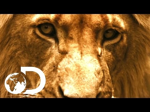 Discovery | The Best of 2016