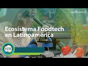 Foodtech: El futuro de la alimentación 🔬🍅