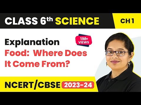 Food: Where Does It Come From - Explanation | Class 6 Science Chapter 1