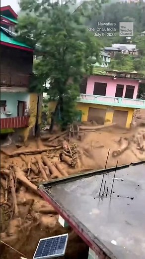 Landslide sweeps away trees in northern India | #shorts #newvideo #trending #subscribe #weather