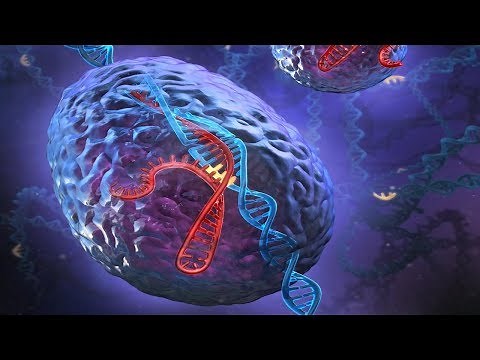 CRISPR Technology | Genetic Engineering | Full Biotechnology Documentary