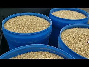 What we feed our Boer Goats