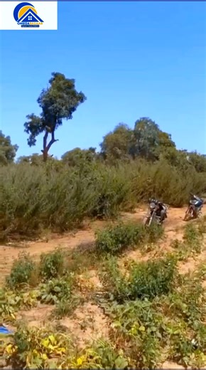 Terrain à vendre à Moutougoula : Vérifiez avant d'acheter