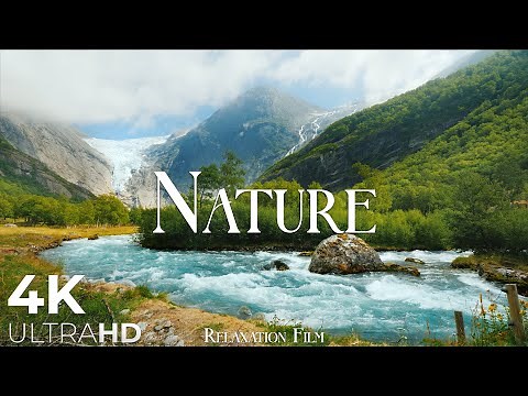 Nature Relaxation Film 4K - Peaceful Relaxing Music - Nature 4k Video UltraHD