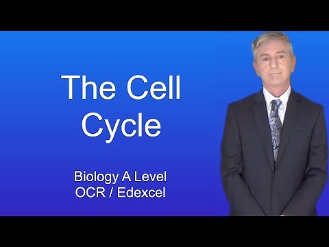 A Level Biology Revision "The Cell Cycle"