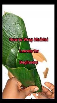 How to Wrap Moimoi Leaves for Beginners | Moimoi Elewe