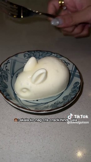 Funny Rabbit Moments That Will Make You Laugh