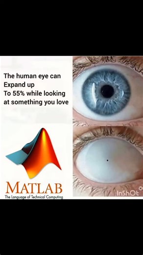 Electrical Engineer on Instagram: "Bringing you the perfect mix of shocking memes ⚡ and electrifying facts about the world of electrical engineering. From circuits to resistors, we've got the laughs and the knowledge! #ElectricalEngineering #EngineeringMemes #TechHumor #CircuitDesign #FutureEngineer #EngineeringCommunity #VoltageVibes #OhmsLaw #ResistorLife #PCBDesign #ControlSystems #STEMHumor #TechLife #EngineeringProblems #PowerSystems"