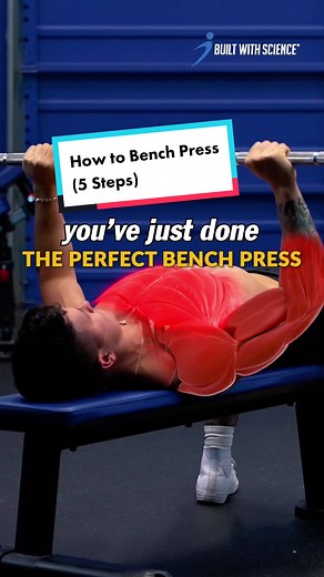 5 Steps for the Perfect Bench Press