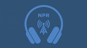 How is the tech industry thinking about AI's environmental impact?