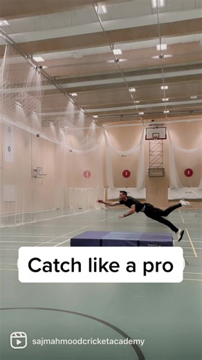 Diving Catching Tutorial for Cricket Fielding Mastery