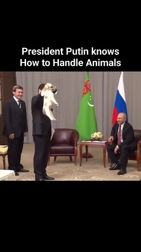 President Putin knows how to handle animals — not with fear, but with calm and confidence. No sudden moves. No dominance. Just quiet control and respect. Sometimes power isn’t about force — it’s about presence. #putin #PutinVladimir #VladimirPutin #doglover #dogs #pets #petlovers | The Future CEO Club