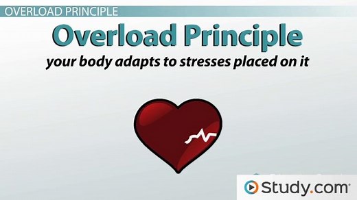 Physical Activity | Definition & Health Benefits