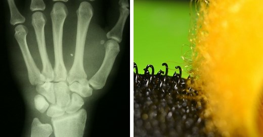 15 Accidental Science Discoveries That Changed the World