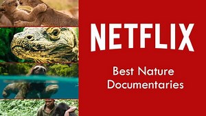 Best Nature Documentaries on Netflix in 2019