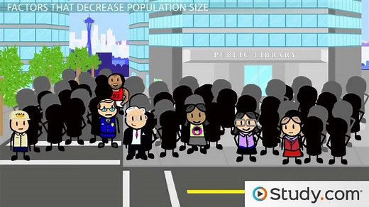 Factors Affecting Population Growth