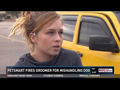 Caught on camera: Dog mishandled by PetSmart groomer