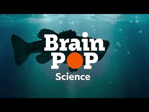 Welcome to BrainPOP Science
