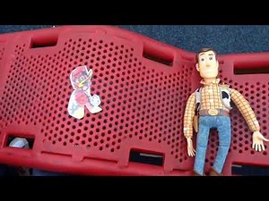 Woody Woodpecker bird is the word