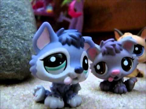 LPS welcome to a magical world of wolves and cougars part 1 ( A pup is born )