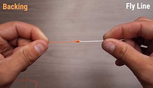 Videos: How to Tie the Albright Knot to Connect Fly Line and Backing - Orvis News