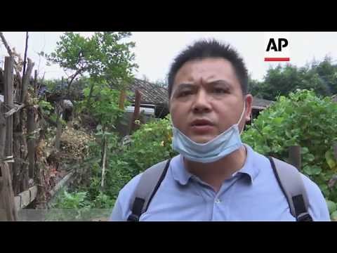 Hundreds of dogs killed in China for festival