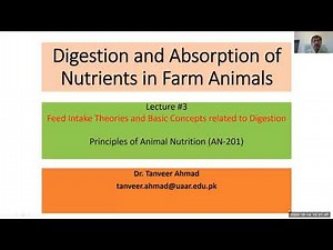 Lecture # 3 Digestion and Absorption of Nutrients in Farm Animals-Animal Sciences/Nutrition Series