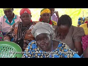 Make money from goat farming in Kenya