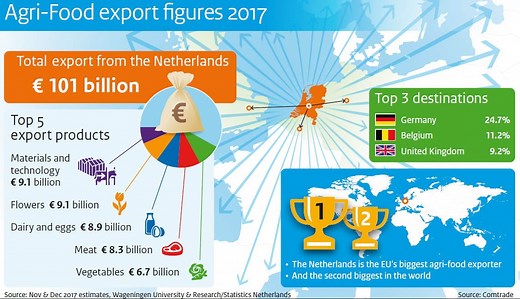 This Dutch tomato farm can teach the world about sustainable agriculture