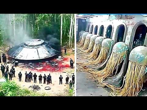 Der Absturz Eines UFOs Wurde Bestätigt! Was Man Im Inneren Entdeckte, Schockierte Die Ganze Welt