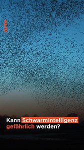 Heute LIVE - 19h ❗ Schwarmforschung bei Tieren ist ein großes Thema. Aber was ist mit der menschlichen Schwarmintelligenz? Wie wirkt sie sich in politischen Prozessen aus? Und wie gehen wir mit "Herdendummheit" um? Das diskutieren wir heute LIVE im ARTE Saloon auf der @republica. Und Ihr könnt im YouTube-Stream mitdiskutieren: ➡️ so.arte/ARTE-Saloon_Schwarmintelligenz Unsere Wissenssendung über Schwarmintelligenz findet ihr in der Mediathek ➡️ so.arte/42_Schwarmintelligenz | Arte