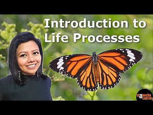 Life Processes Class 10 Science Biology