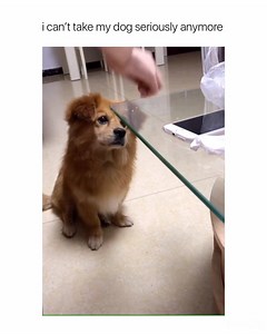 can’t get over this 😂 | Femaleclub