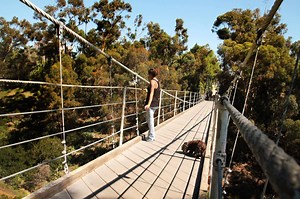 Spruce Street Suspension Bridge | Hidden San Diego