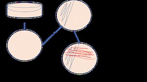 Science Fair Project: What's the germiest place in school? - STEMium