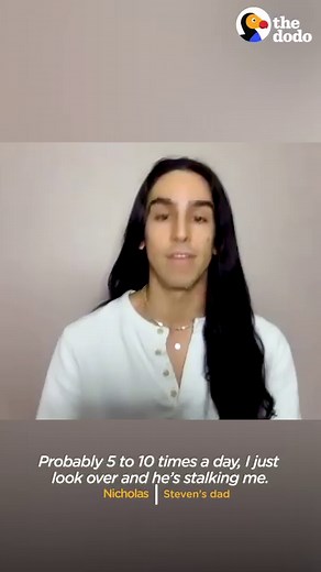 Rescue dog stalks his dad every day — then starts bringing him "gifts" from outside 😂 | The Dodo