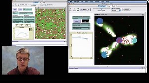 SEP2: Developing and Using Models — The Wonder of Science