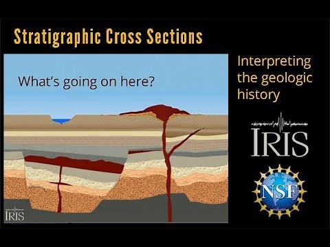 Stratigraphic Cross Section—Interpreting the Geology