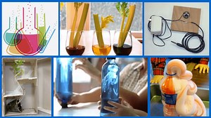 20 Awesome DIY Science Projects to Do With Your Kids - LifeHack