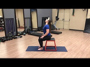 Seated Segmental Cat/Camel